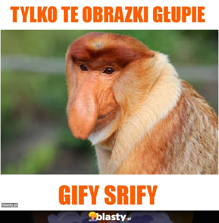 tylko te obrazki głupie