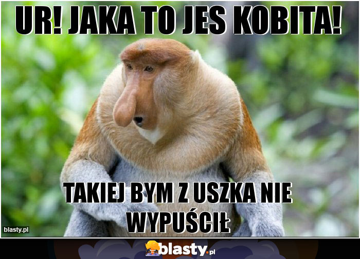 Ur! Jaka to jes kobita! Ur! Jaka to jes kobita!