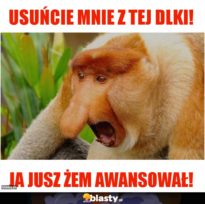 Usuńcie mnie z tej DLki!