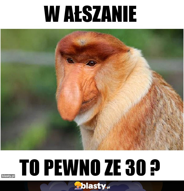 W AŁSzanie