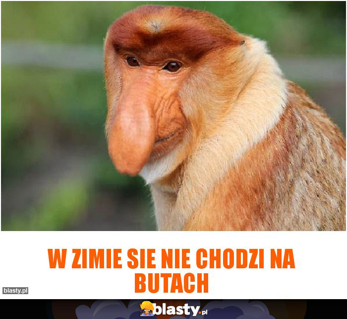 W zimie sie nie chodzi na butach