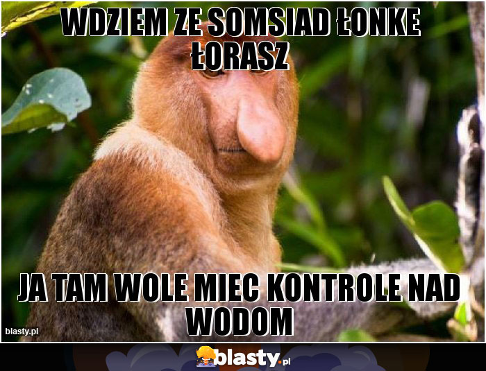 Wdziem ze somsiad łonke łorasz