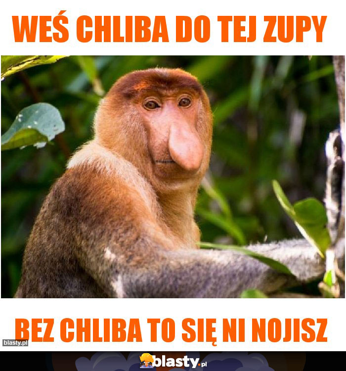 Weś chliba do tej zupy