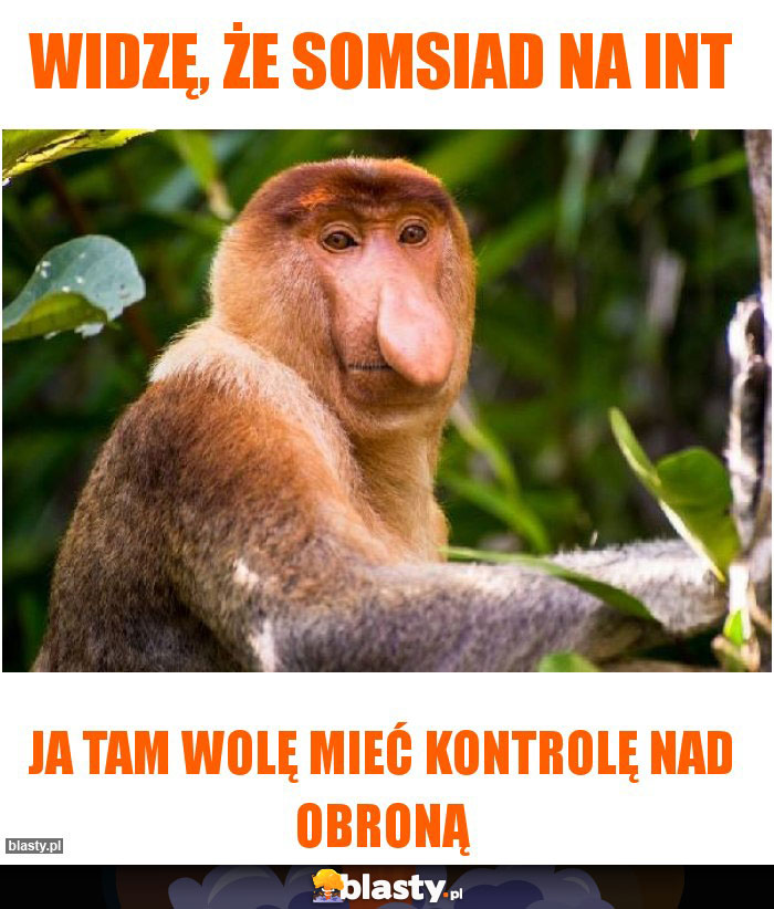 widzę, że somsiad na int