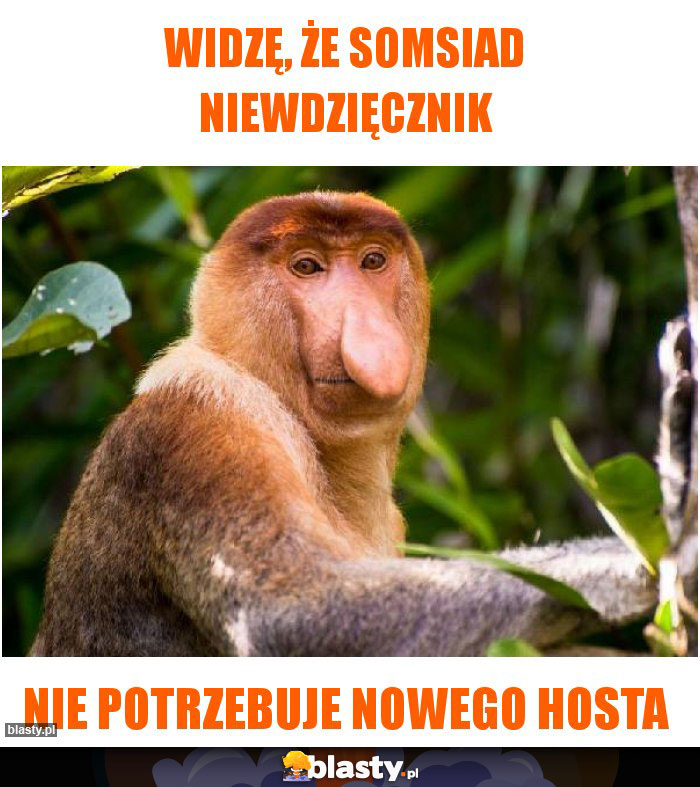 Widzę, że somsiad niewdzięcznik