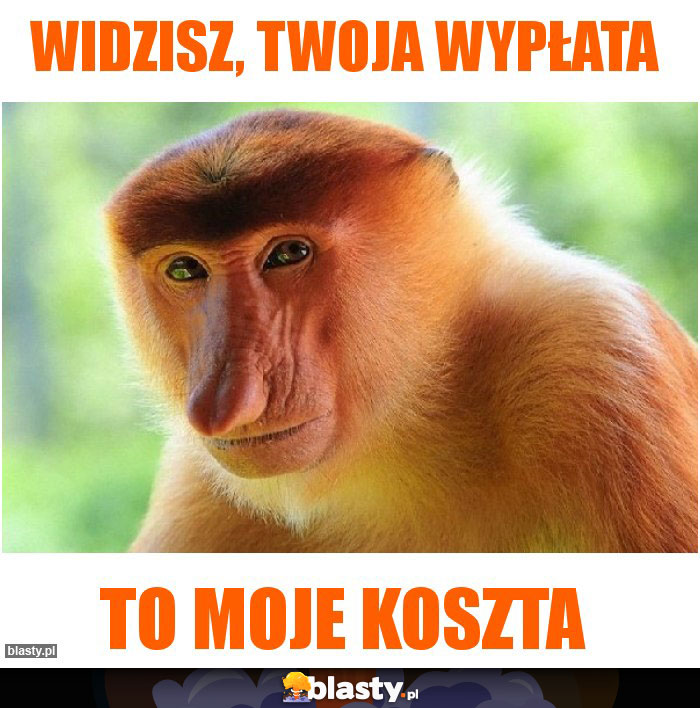 Widzisz, twoja wypłata Widzisz, twoja wypłata