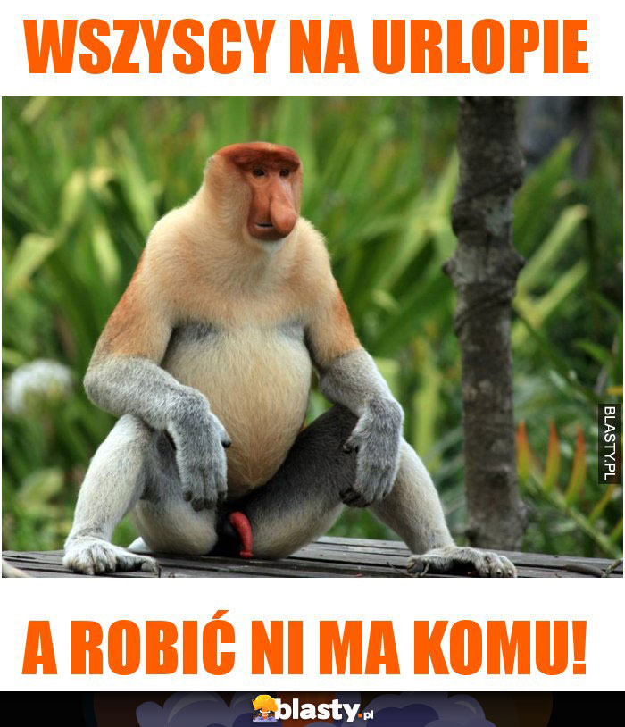 Wszyscy na urlopie Wszyscy na urlopie
