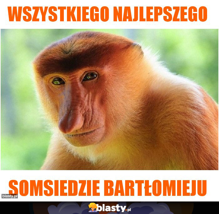 Wszystkiego Najlepszego Wszystkiego Najlepszego