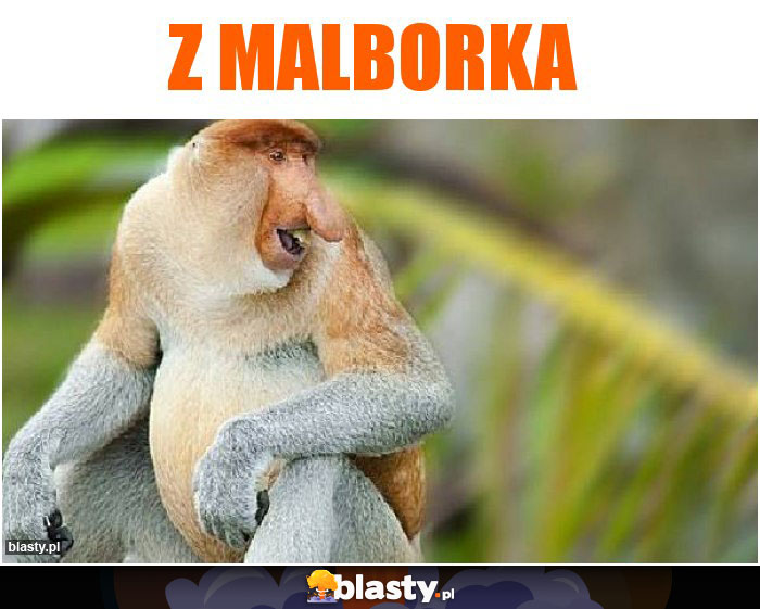 Z Malborka Z Malborka