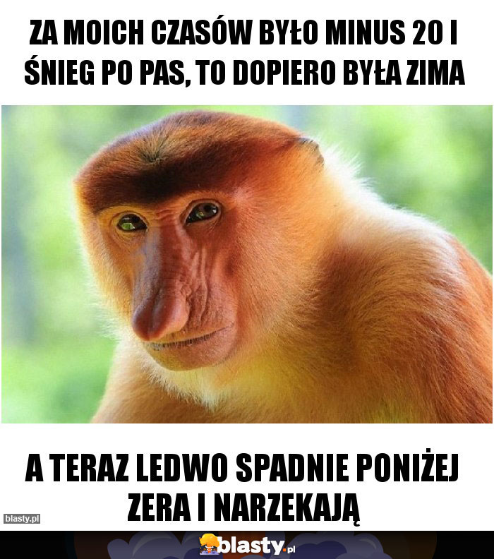 Za moich czasów było minus 20 i śnieg po pas, to dopiero była zima Za moich czasów było minus 20 i śnieg po pas, to dopiero była zima