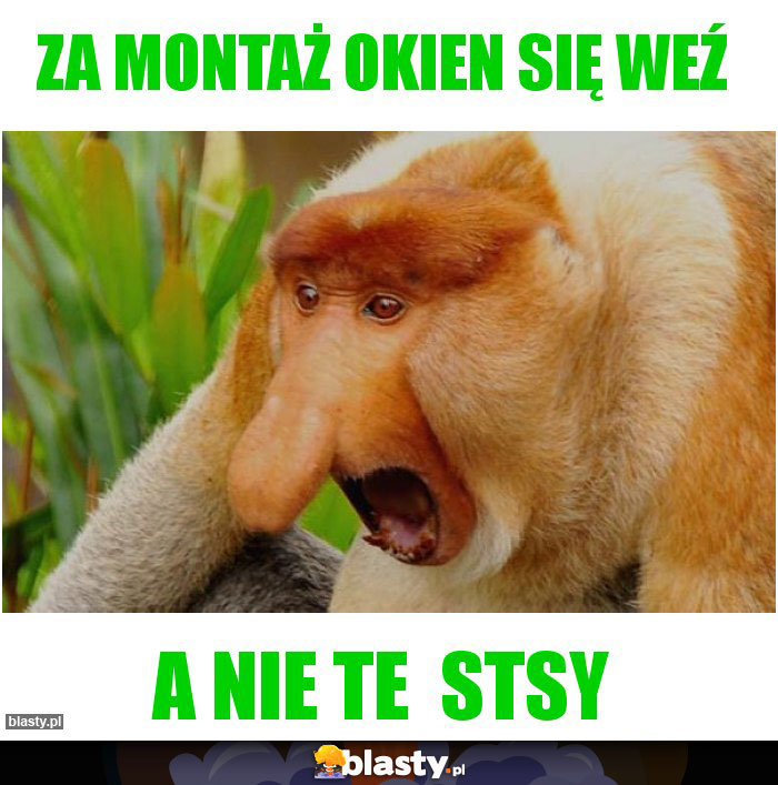 ZA montaż okien się weź