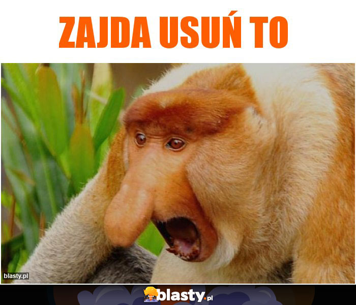 Zajda usuń to