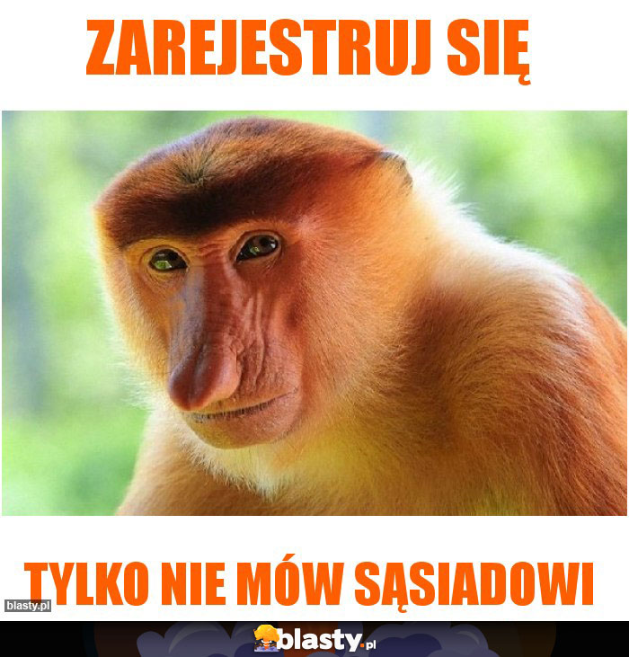 Zarejestruj się