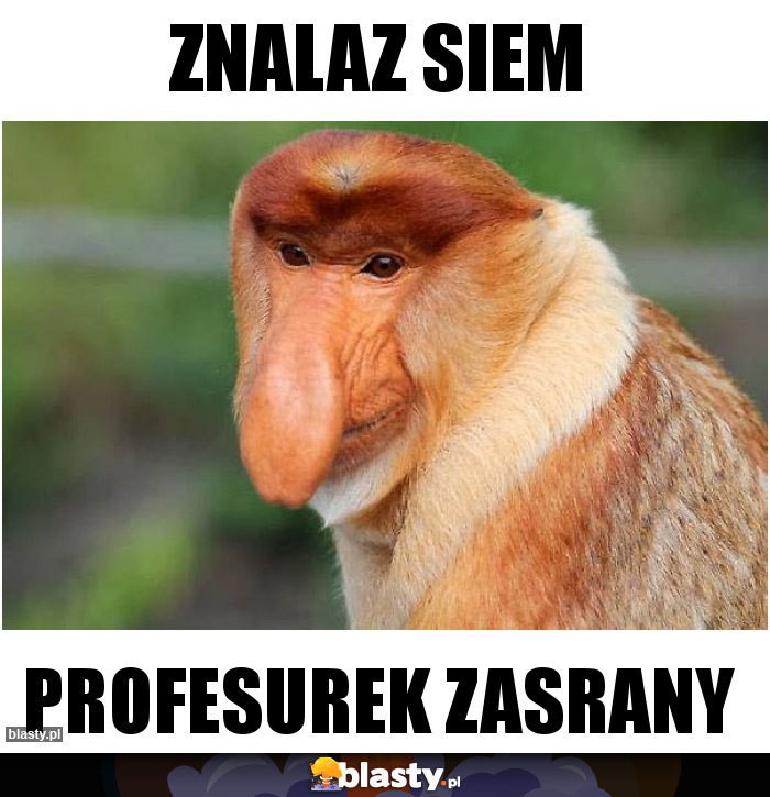 Znalaz siem Znalaz siem