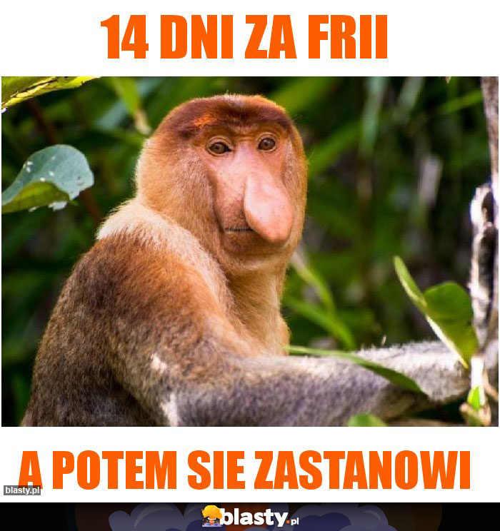 14 dni za frii 14 dni za frii