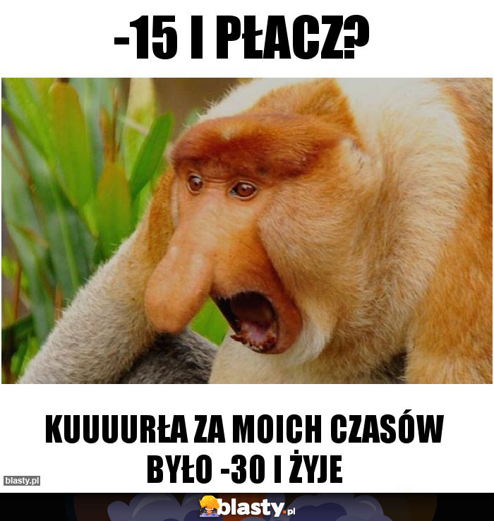 -15 i płacz? -15 i płacz?