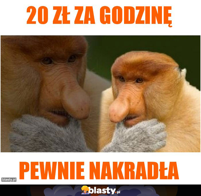 20 zł za godzinę 20 zł za godzinę
