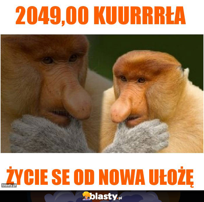 2049,00 kuurrrła 2049,00 kuurrrła