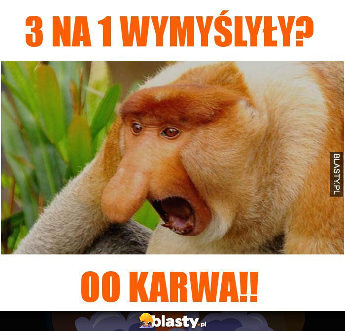 3 na 1 wymyślyły? 3 na 1 wymyślyły?
