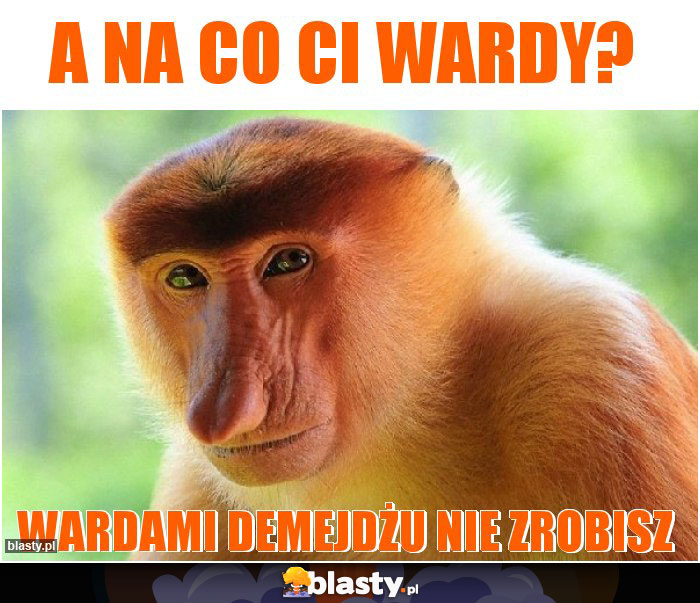 A na co Ci wardy? A na co Ci wardy?