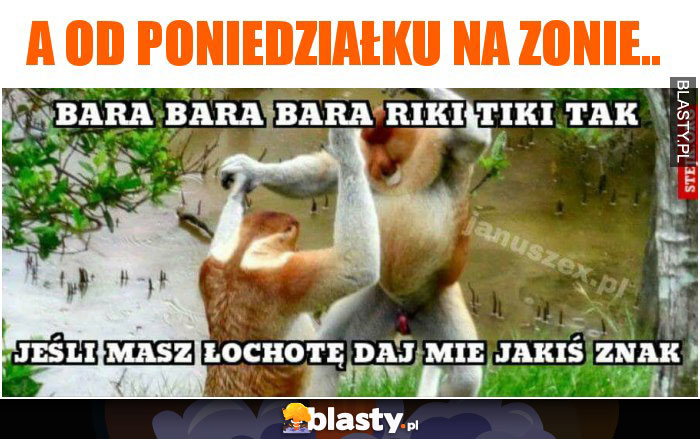 a od poniedziałku na zonie.. a od poniedziałku na zonie..