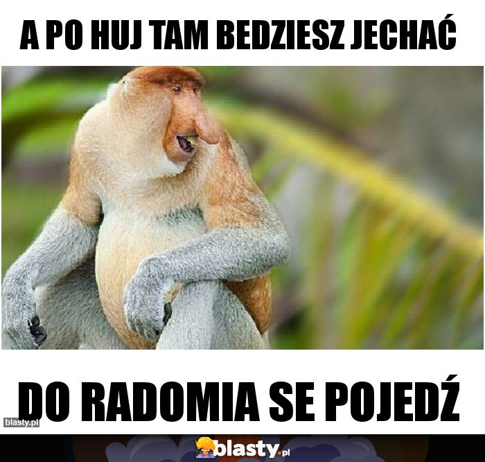 a po huj tam bedziesz jechać a po huj tam bedziesz jechać
