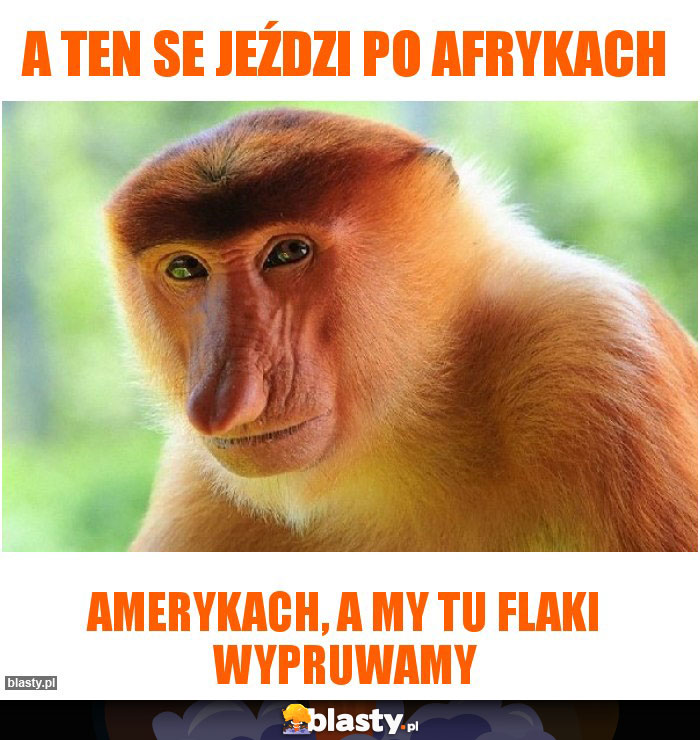 A ten se jeździ po Afrykach A ten se jeździ po Afrykach