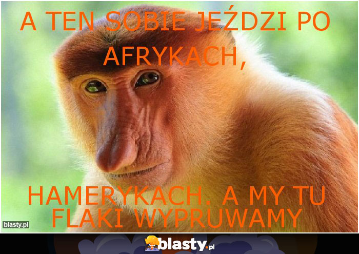 A ten sobie jeździ po Afrykach, A ten sobie jeździ po Afrykach,