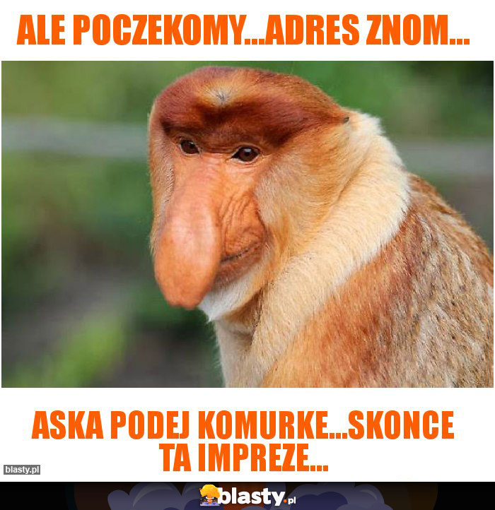 Ale poczekomy...adres znom...