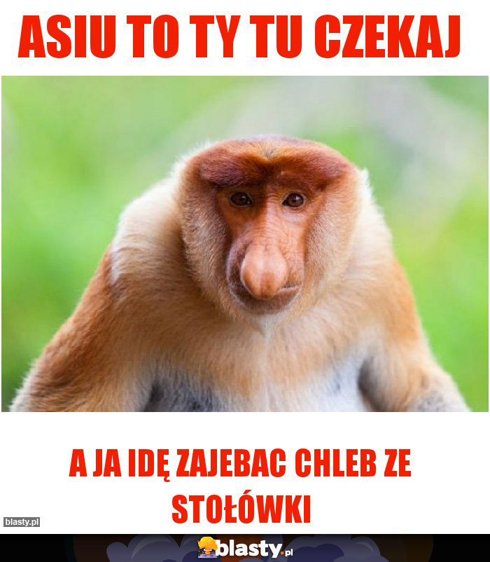 Asiu to Ty tu czekaj