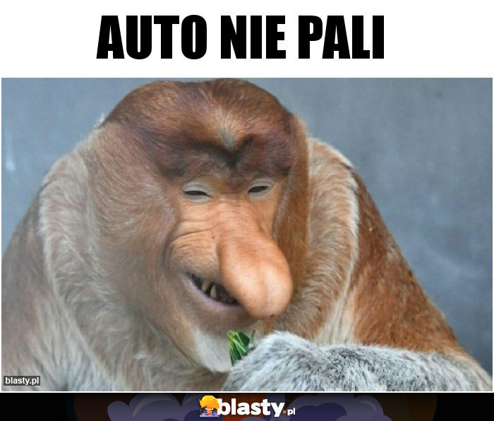 Auto nie pali Auto nie pali
