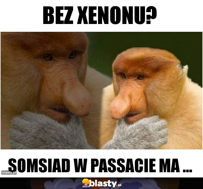 Bez xenonu? Bez xenonu?