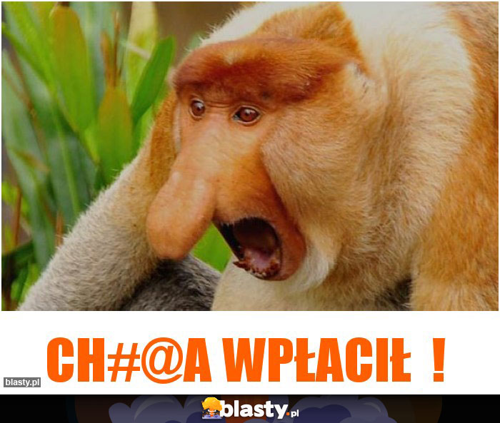 Ch#@a wpłacił ! Ch#@a wpłacił !