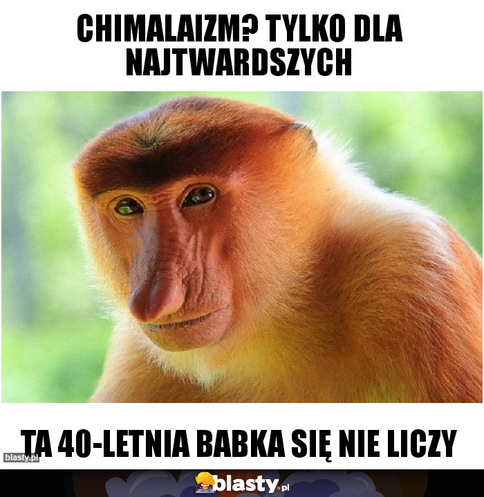 Chimalaizm? tylko dla najtwardszych Chimalaizm? tylko dla najtwardszych