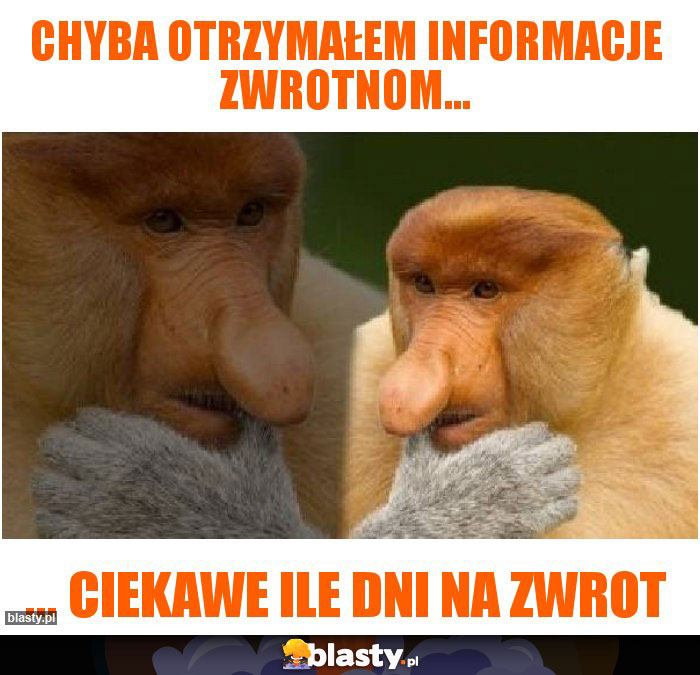 Chyba otrzymałem informacje zwrotnom... Chyba otrzymałem informacje zwrotnom...