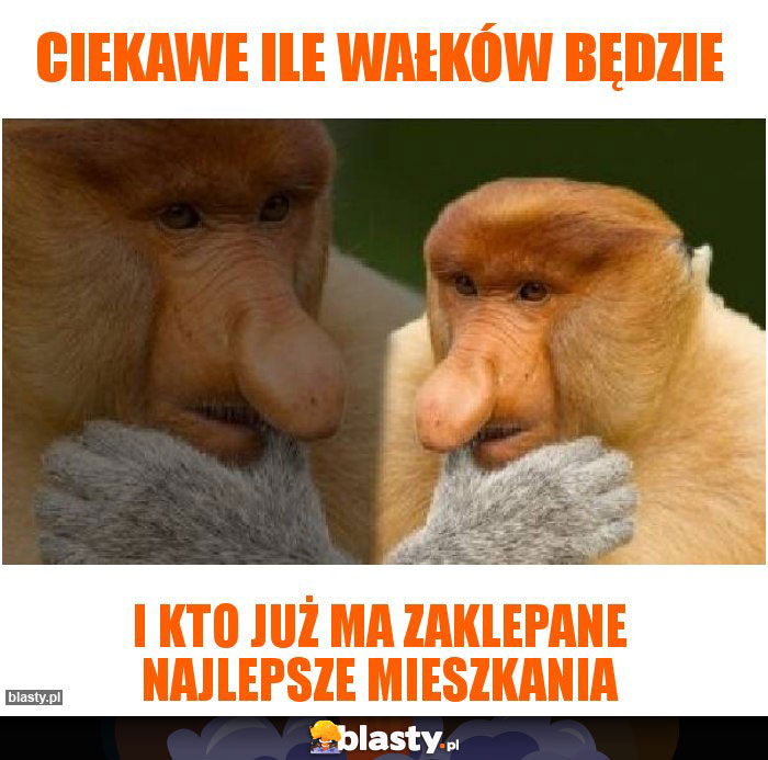Ciekawe ile wałków będzie Ciekawe ile wałków będzie