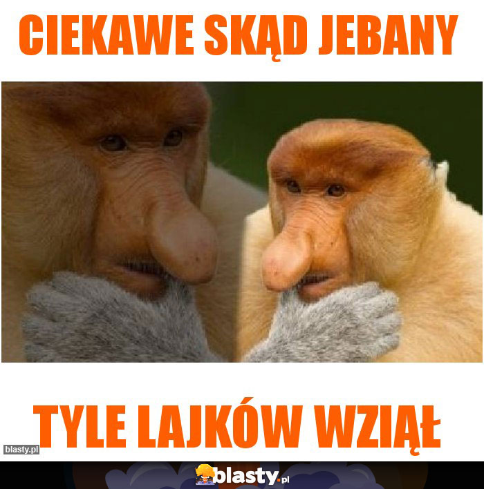 CIEKAWE SKĄD JEBANY CIEKAWE SKĄD JEBANY