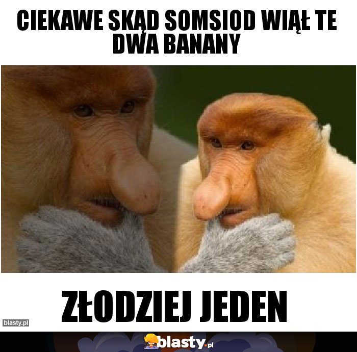 ciekawe skąd somsiod wiął te dwa banany ciekawe skąd somsiod wiął te dwa banany