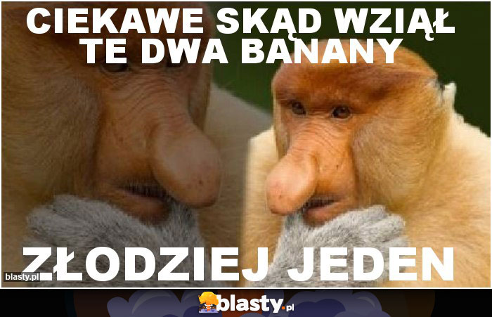ciekawe skąd wziął te dwa banany ciekawe skąd wziął te dwa banany