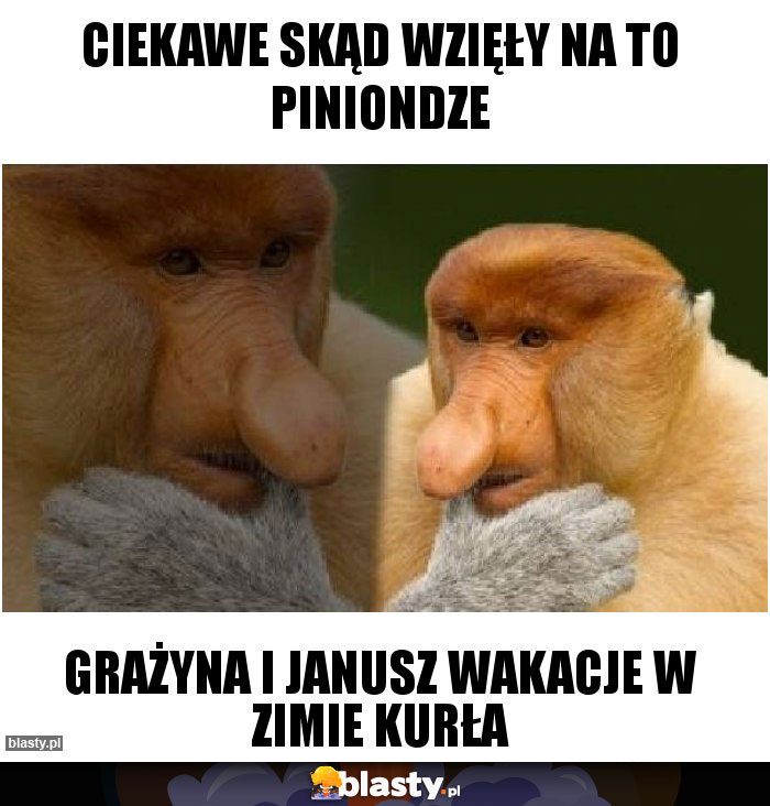 Ciekawe skąd wzięły na to piniondze Ciekawe skąd wzięły na to piniondze