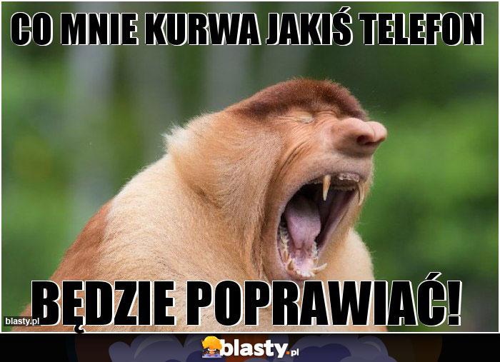 Co mnie kurwa jakiś telefon Co mnie kurwa jakiś telefon