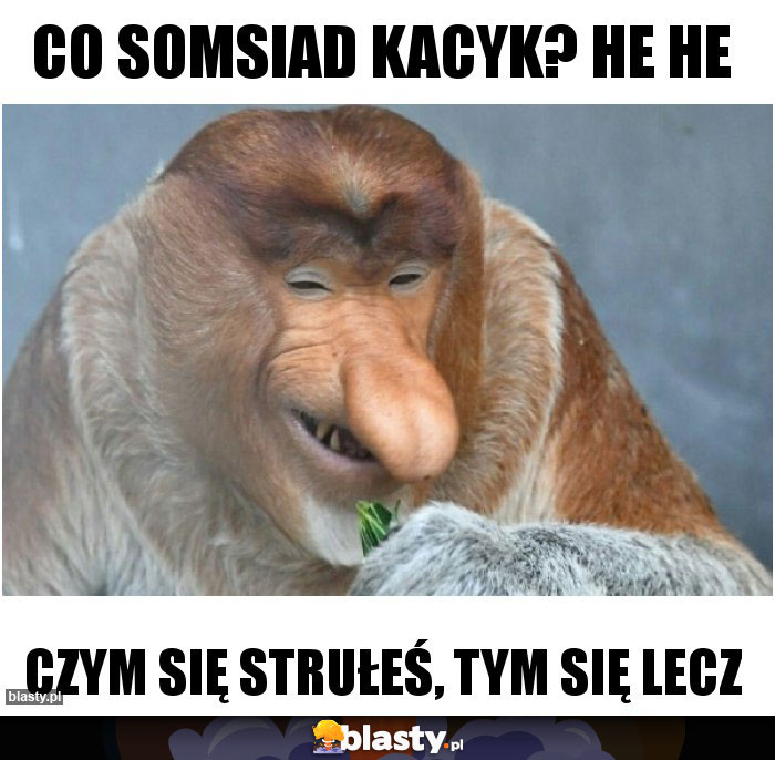Co somsiad Kacyk? He he Co somsiad Kacyk? He he