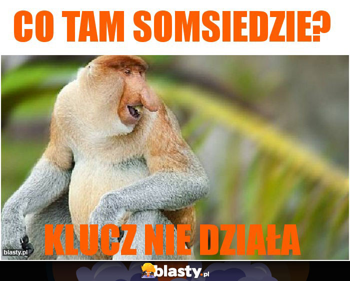 co tam somsiedzie? co tam somsiedzie?