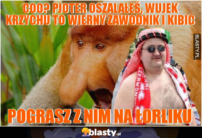 coo? pjoter oszalałeś, wujek krzychu to wierny zawodnik i kibic coo? pjoter oszalałeś, wujek krzychu to wierny zawodnik i kibic