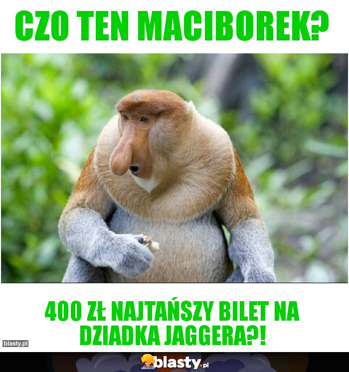 CZO TEN MACIBOREK? CZO TEN MACIBOREK?
