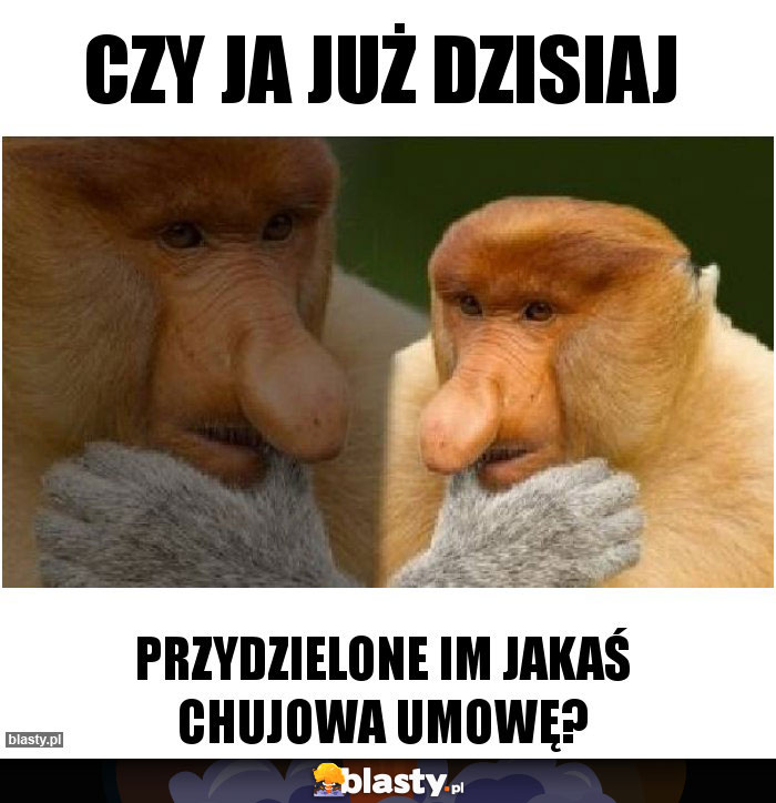 Czy ja już dzisiaj