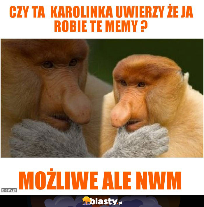 Czy ta karolinka uwierzy że ja robie te memy ? Czy ta karolinka uwierzy że ja robie te memy ?