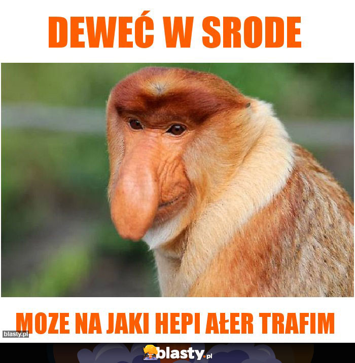 deweć w srode deweć w srode