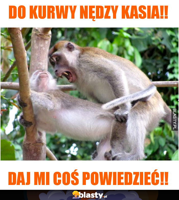 do kurwy nędzy Kasia!! do kurwy nędzy Kasia!!