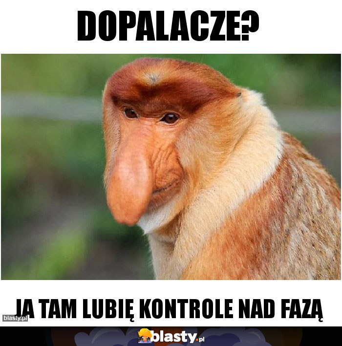 Dopalacze? Dopalacze?